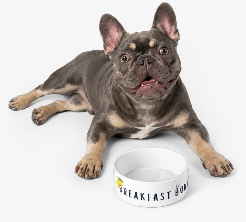 Ceramic Pet Food Bowl